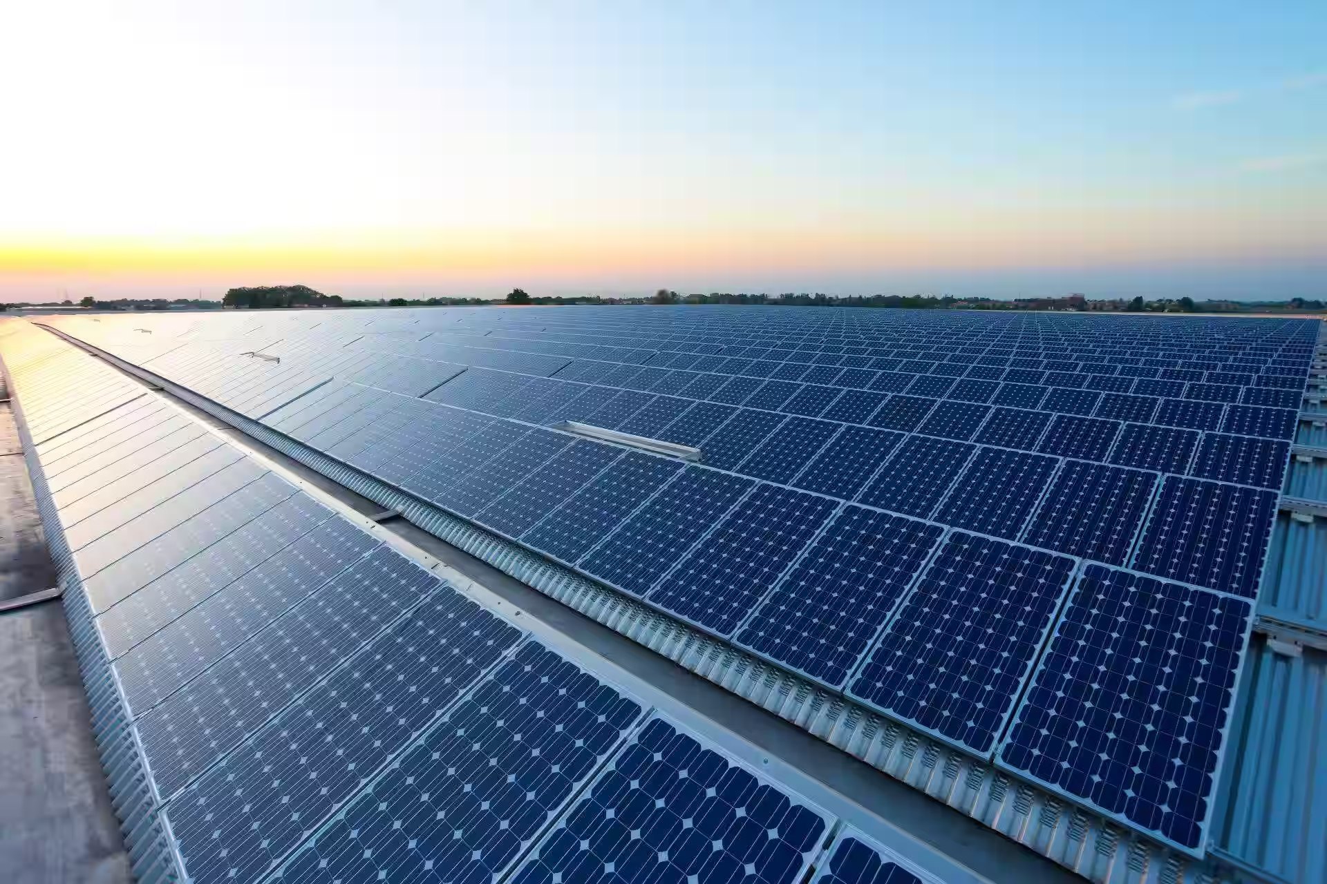 Solar panels at Dolly Paper Packaging facility